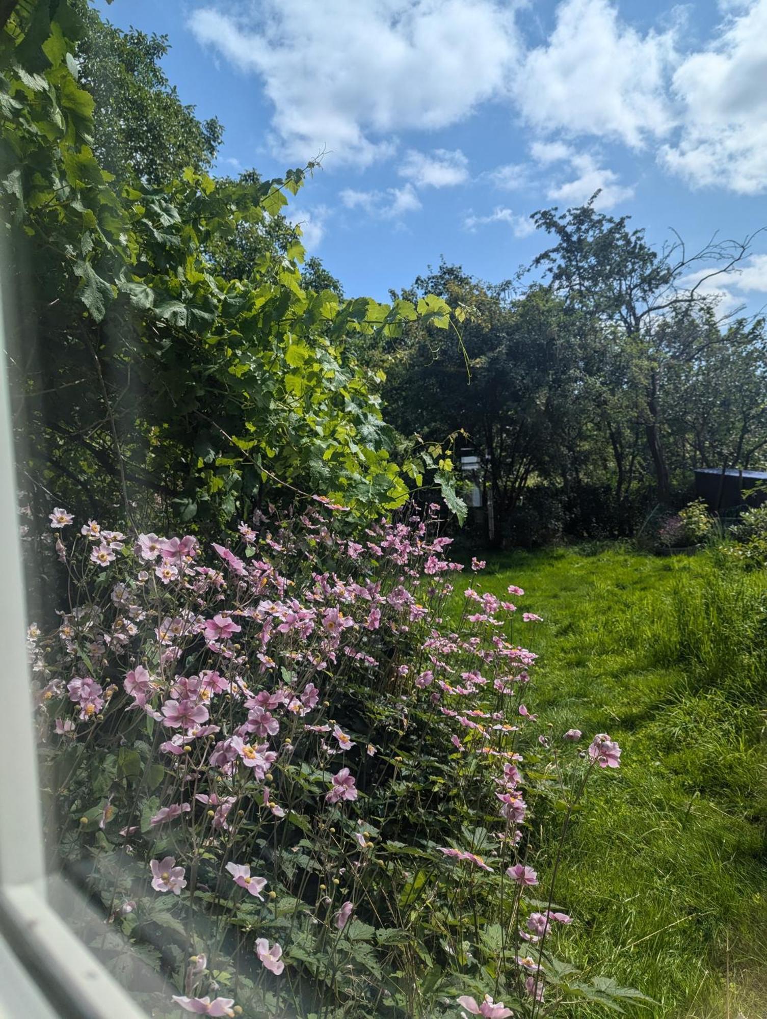 Lejlighed Ved Skov Græsted Esterno foto